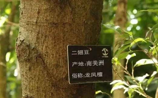 2025新奥门资料大全
